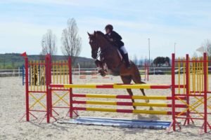 titularidad de un caballo