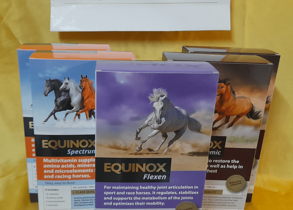Equinox saca unos nuevos pack-ahorro, descubre cuál es el que mejor se adapta a ti!