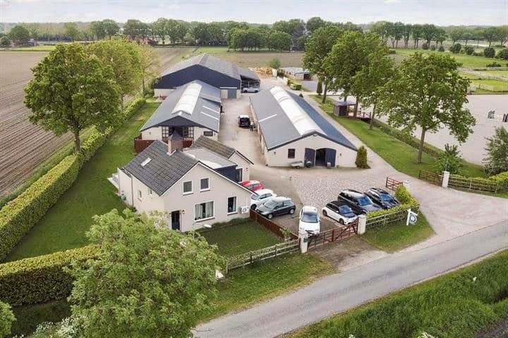 Olímpico alquila su hípica en Holanda, ¿Te interesa?