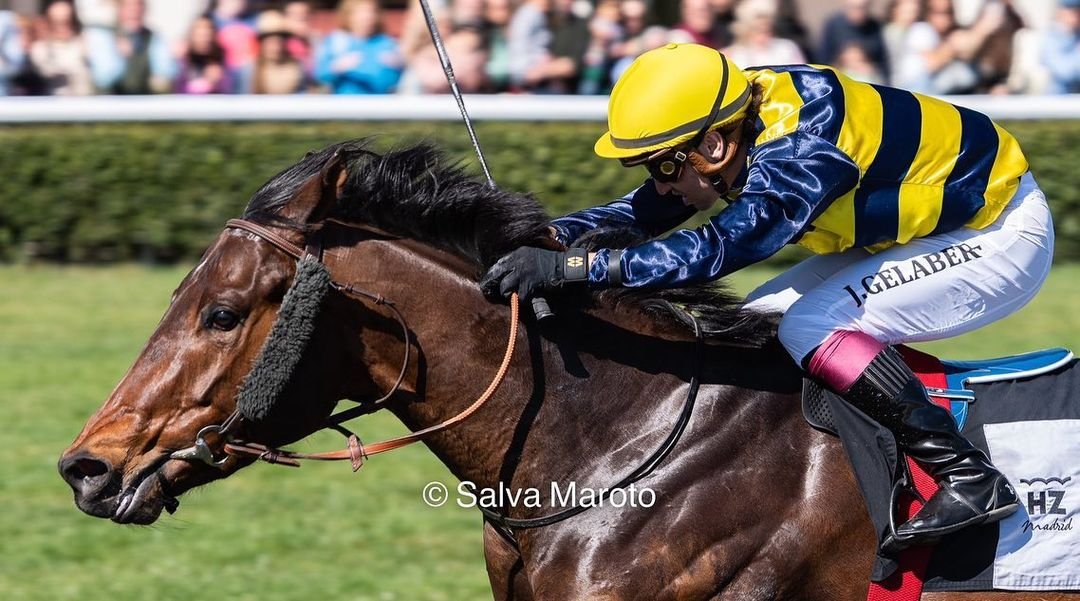 Special Feeds, Equinox y Caleya ganando en el Hipódromo de la Zarzuela