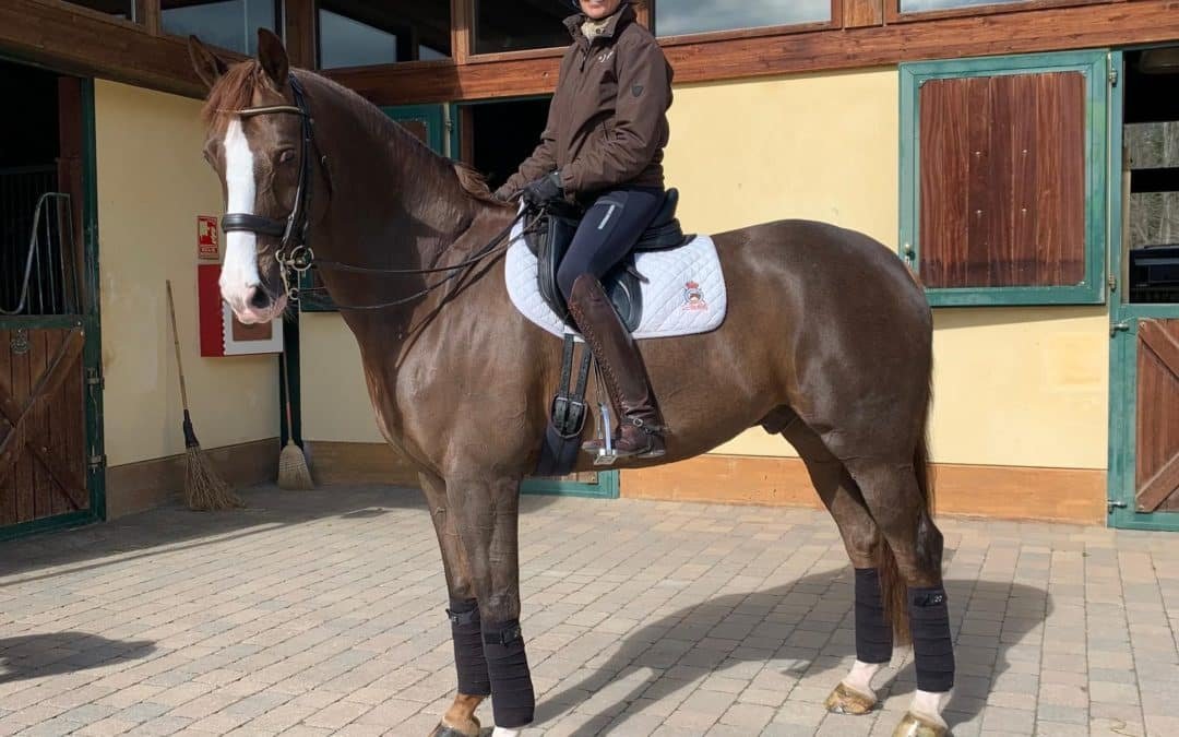 Novedades en la cuadra de Beatriz Ferrer-Salat