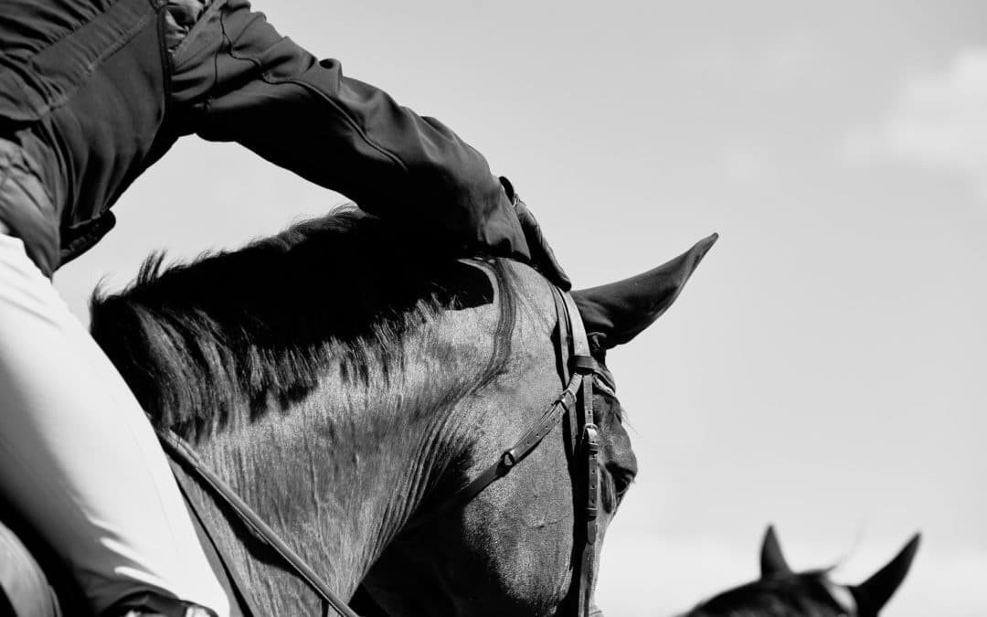 Anunciado el nuevo equipo de Young Rider Academy