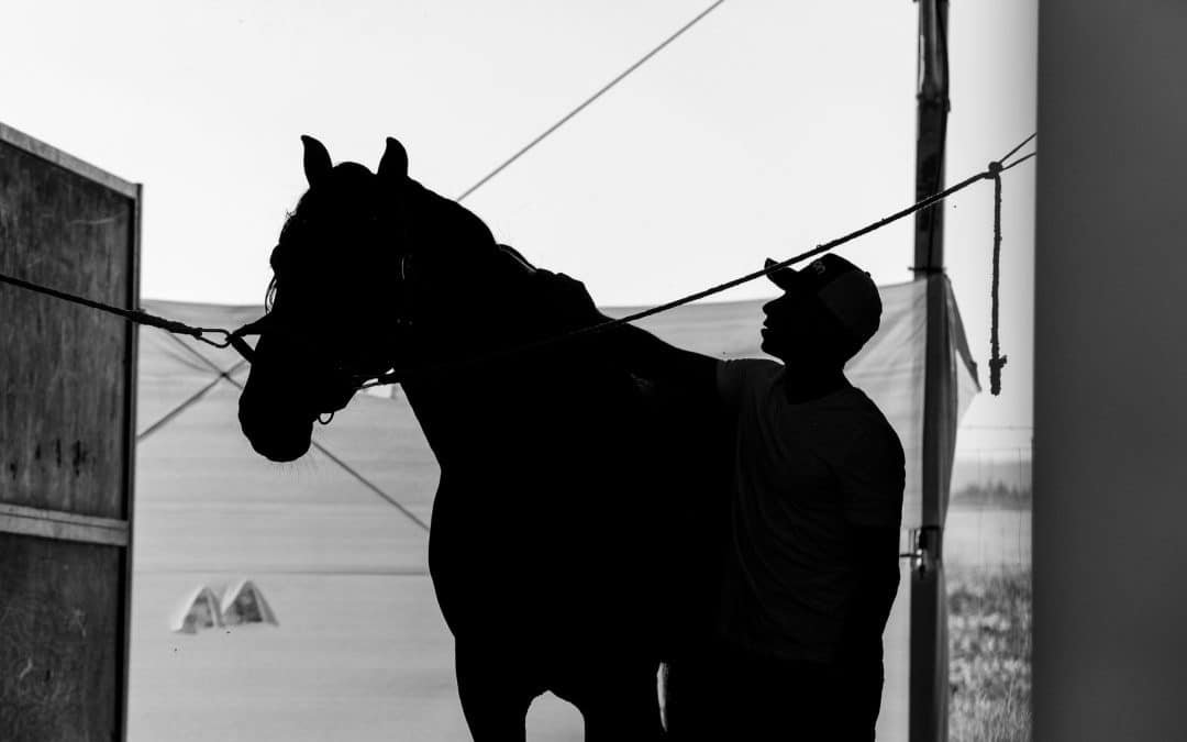 Cómo mejorar la postura del jinete para optimizar la conexión con el caballo