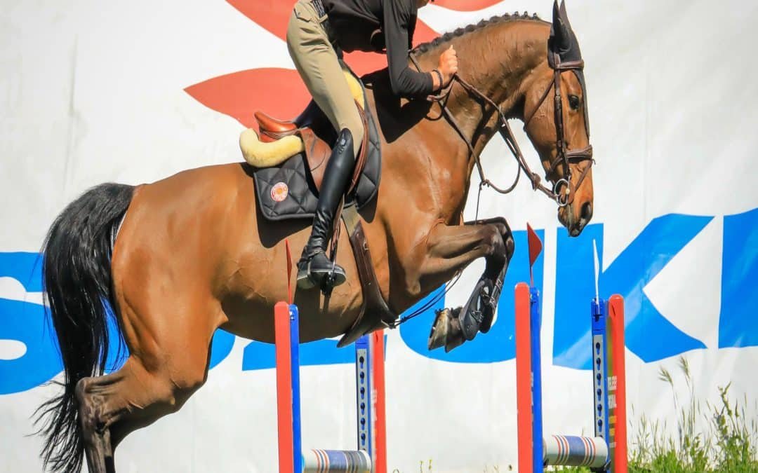 Segunda victoria consecutiva para el sueco Jacob Hellström y ‘Charles’ en 7 años en el Sunshine Tour