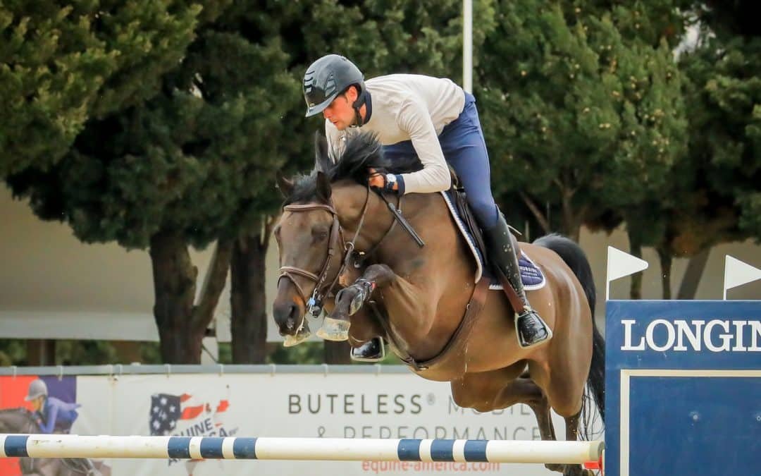 ‘Luna Van De Zeilhoek’, ‘Charly Brown G’ y ‘Tisara Quality Cruise’, los mejores siete años del Sunshine Tour en la jornada de ayer