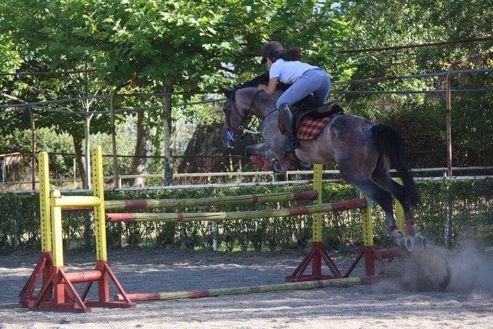 DERECHO DEPORTIVO ECUESTRE: COMPRAVENTA DE CABALLO A DISTANCIA