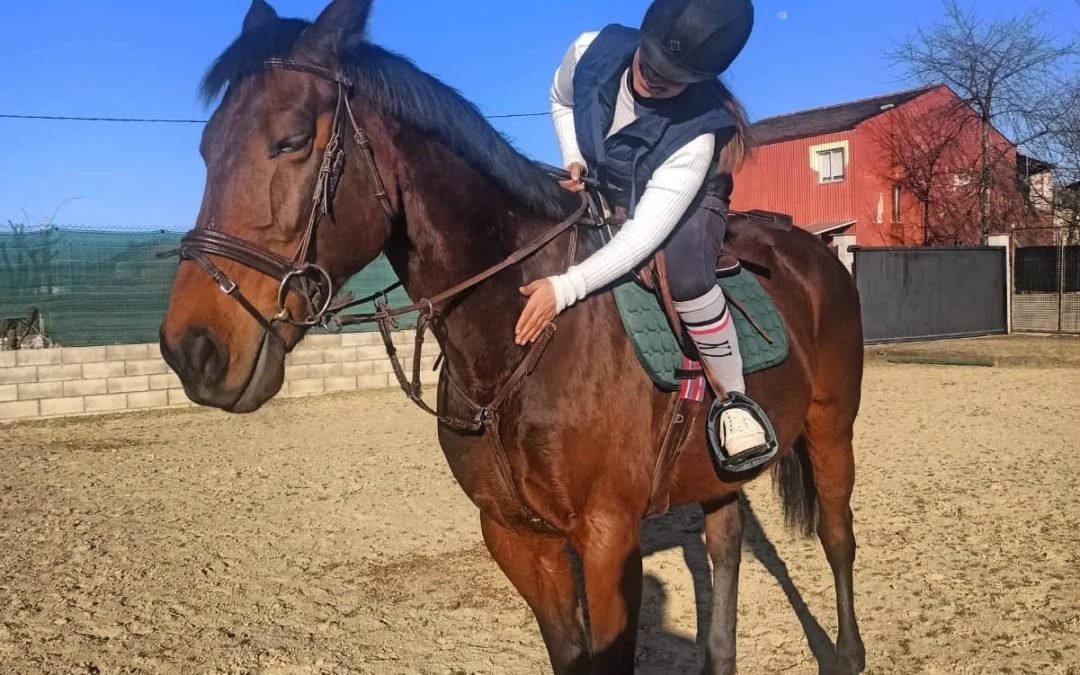 Derecho deportivo ecuestre: maltrato animal