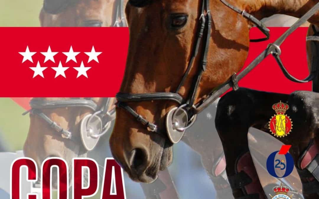 Carácterísticas especiales de la Copa Comunidad de Madrid