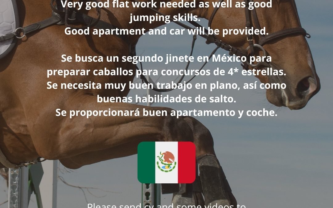 Se busca jinete para caballos de competición en Mexico