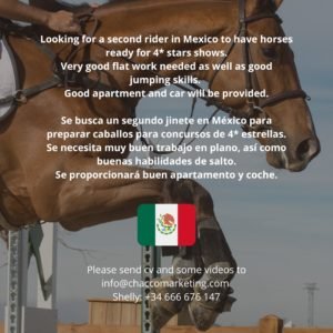 jinete para caballos de competición