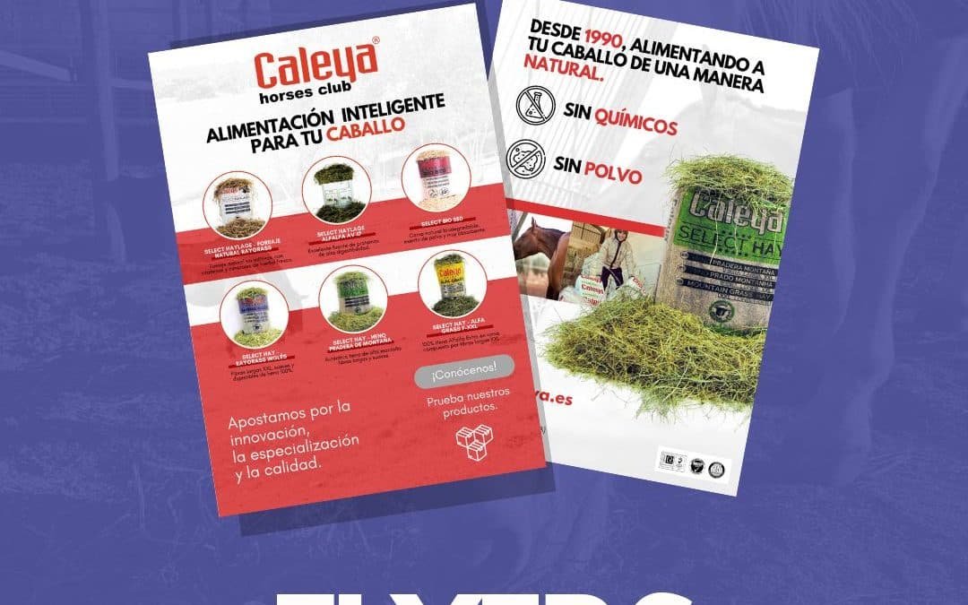 ¿Necesitas material corporativo?