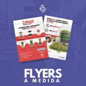 material corporativo