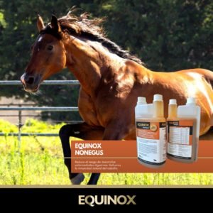 problemas estomacales