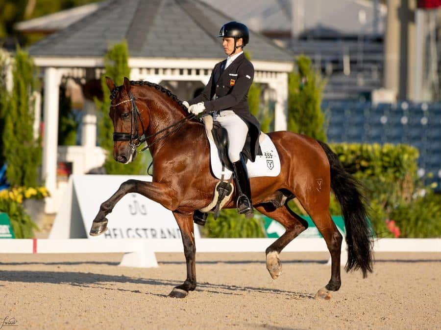 Caballos PRE protagonistas en el CDI 5* de Wellington