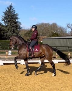 Mount St. John Freestyle