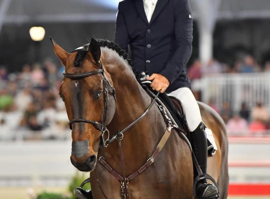 Chacco Blue II retirado de la final de la Copa del Mundo en Omaha