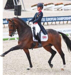 Mount St. John Freestyle