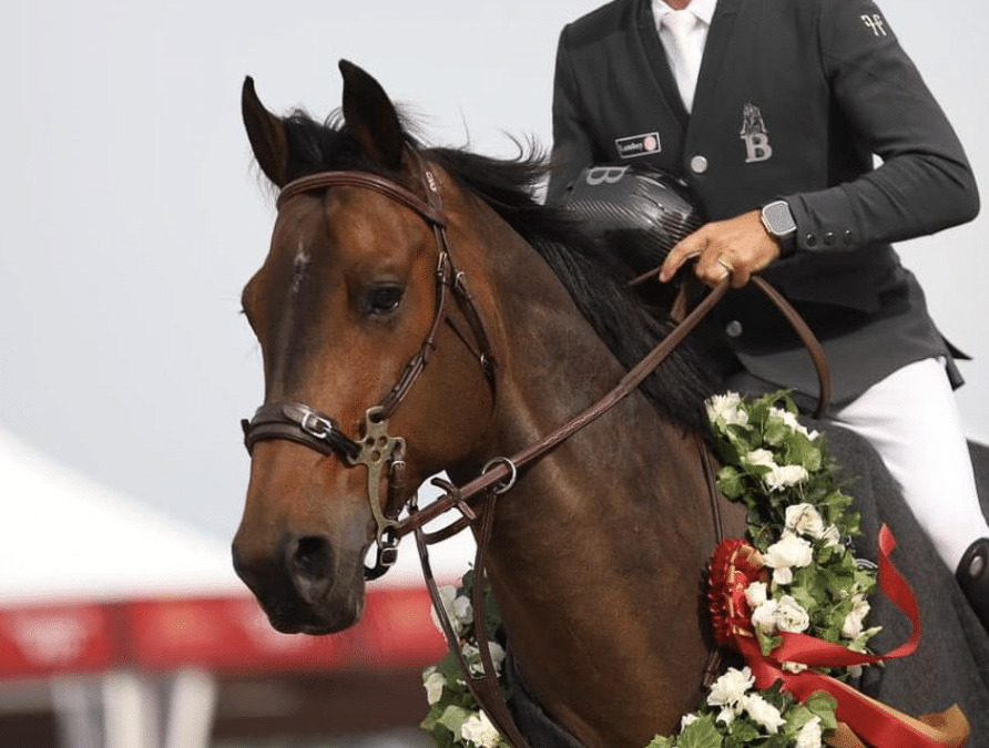 Historia de Julien Epaillard: El Fenómeno del Salto de Obstáculos