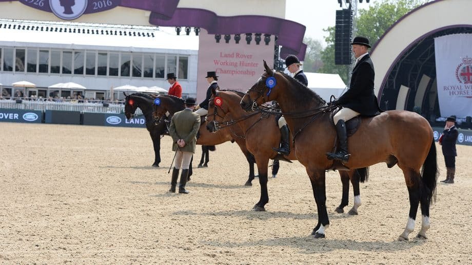 Recompensando a los caballos bien cuidados: los premios a la condición física llegan a Royal Windsor