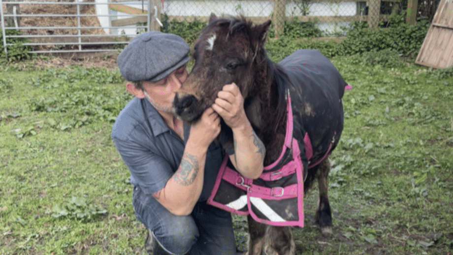 Ofrecen casa y trabajo a un hombre que vivía en su coche tras ayudar a rescatar a un pony gravemente herido