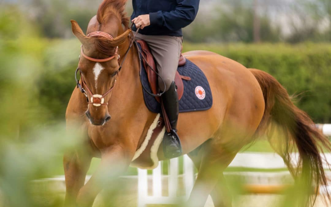 Ben Maher se une a Simon Delestre, Rodrigo Pessoa y otros jinetes como nuevo Hermès Rider