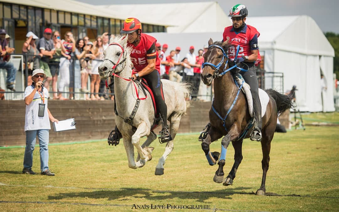 Aumentar la edad mínima para los caballos de raid, en la agenda de la FEI