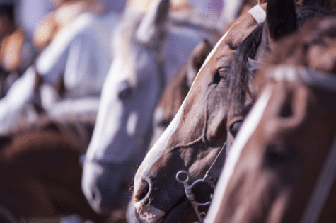 David López del Moral