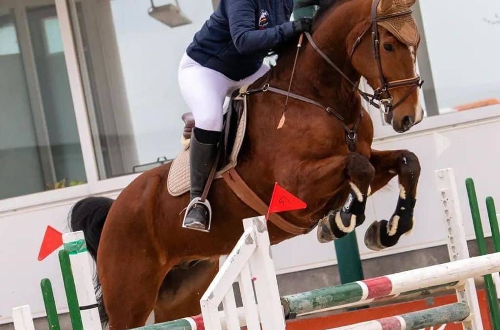 Fallece Sara Blasco Diaz en un accidente de tráfico