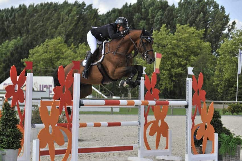 Un semental joven con garantía… Sea Coast Don’t Touch Tiji Hero