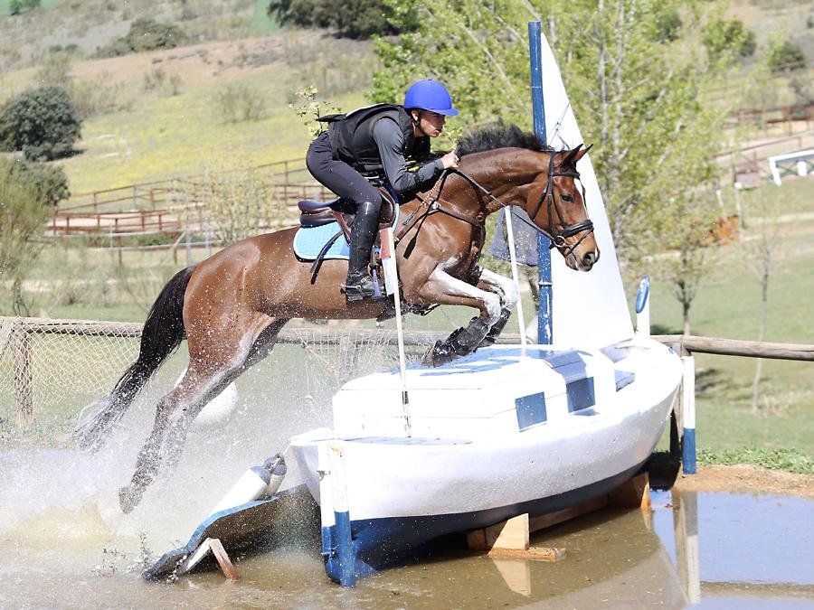 Campeonato del Mundo de Caballos Jóvenes CCE
