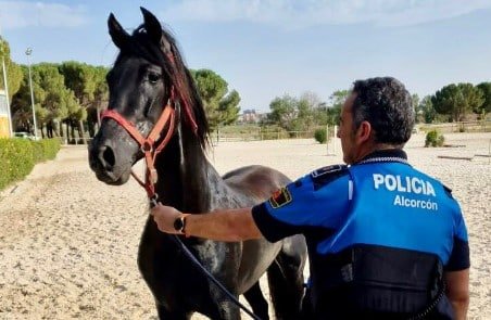 Un caballo desorientado por las calles de Alcorcón sorprende a los vecinos