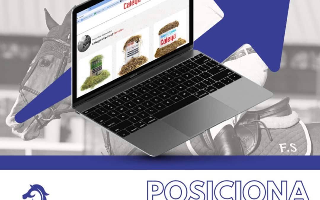 ¿Tienes posicionada tu página web? Te explicamos los beneficios de que sea así