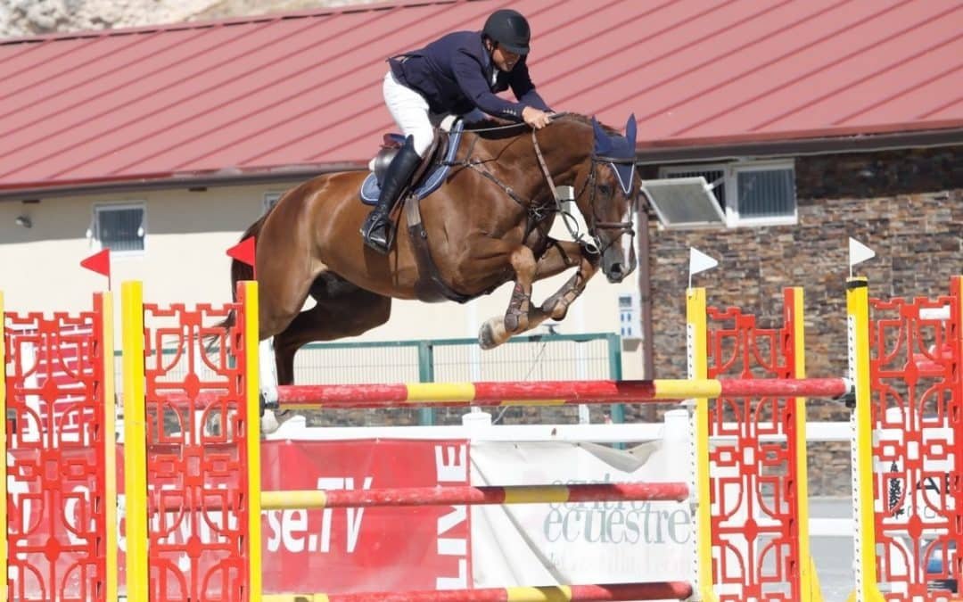 El CDE participará en el Campeonato del Mundo de Studbooks