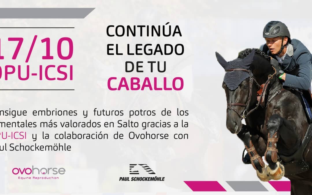 ¿Quieres tener descendencia de los mejores sementales del salto? Ovohorse en colaboración Paul Schockemöhle lo hacen posible