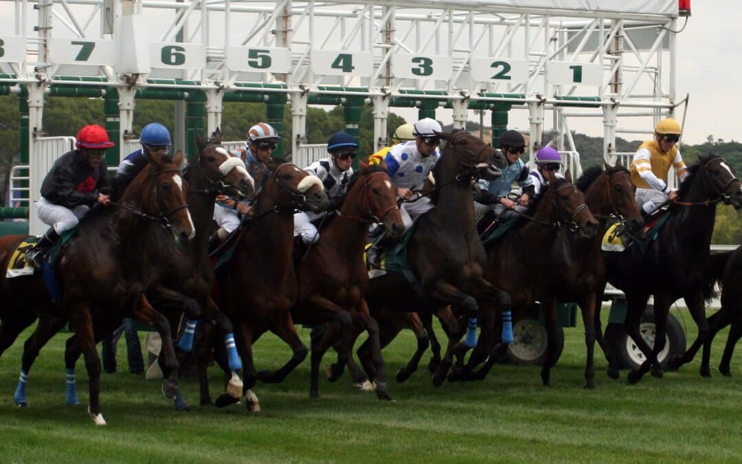 Vive la Emoción de las Carreras de Caballos en el Hipódromo de la Zarzuela: Temporada 2024 🏇🏁