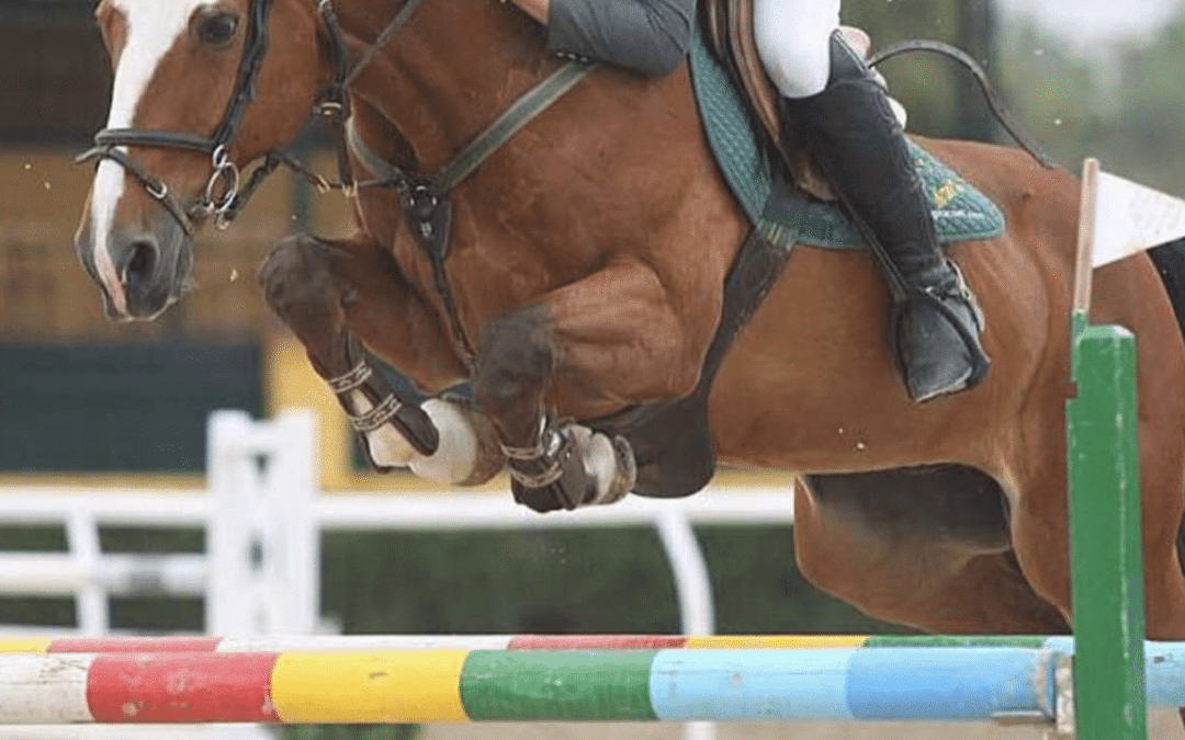 Adiós a Fabuleux Merze