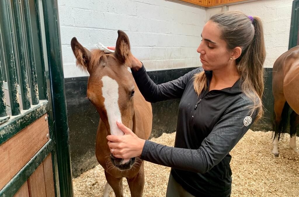 Paola Amilibia nos presenta al primer hijo de «Cabri D’Elle» y «Prunella D’ Ariel»