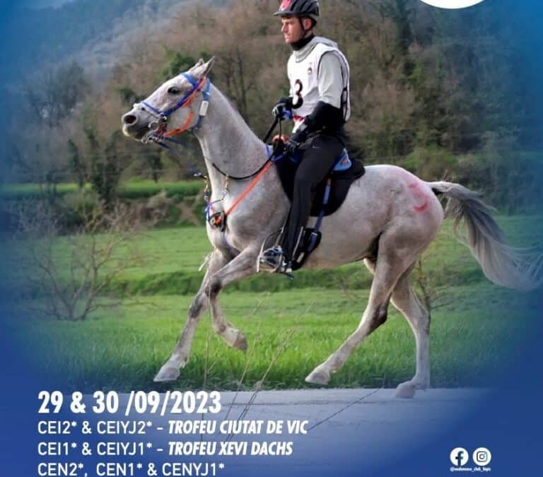 Gil Berenguer gana el CEI2** de Vic 2023