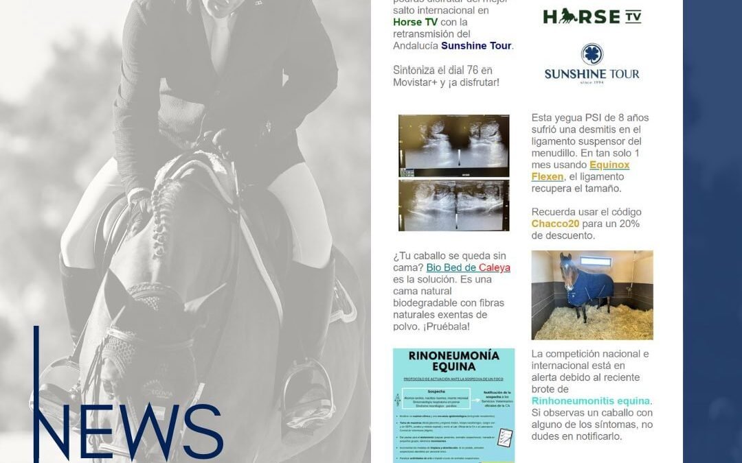 Descubre todo acerca del mundo hípico a través de nuestra newsletter mensual