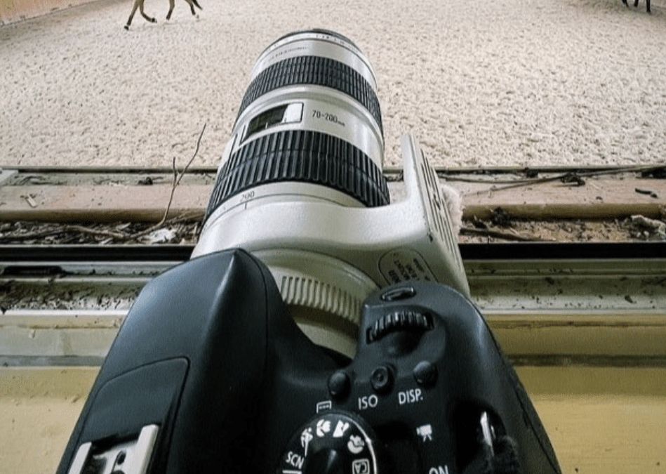 Derecho de explotación de las fotos en un concurso. Vacío legal -y moral-