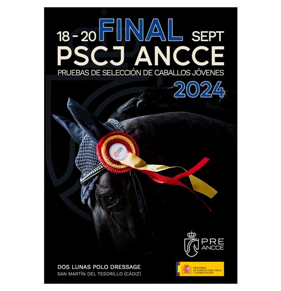 Disponible la fecha para la Final de las Pruebas de Selección de Caballos Jóvenes (PSCJ ANCCE) 2024