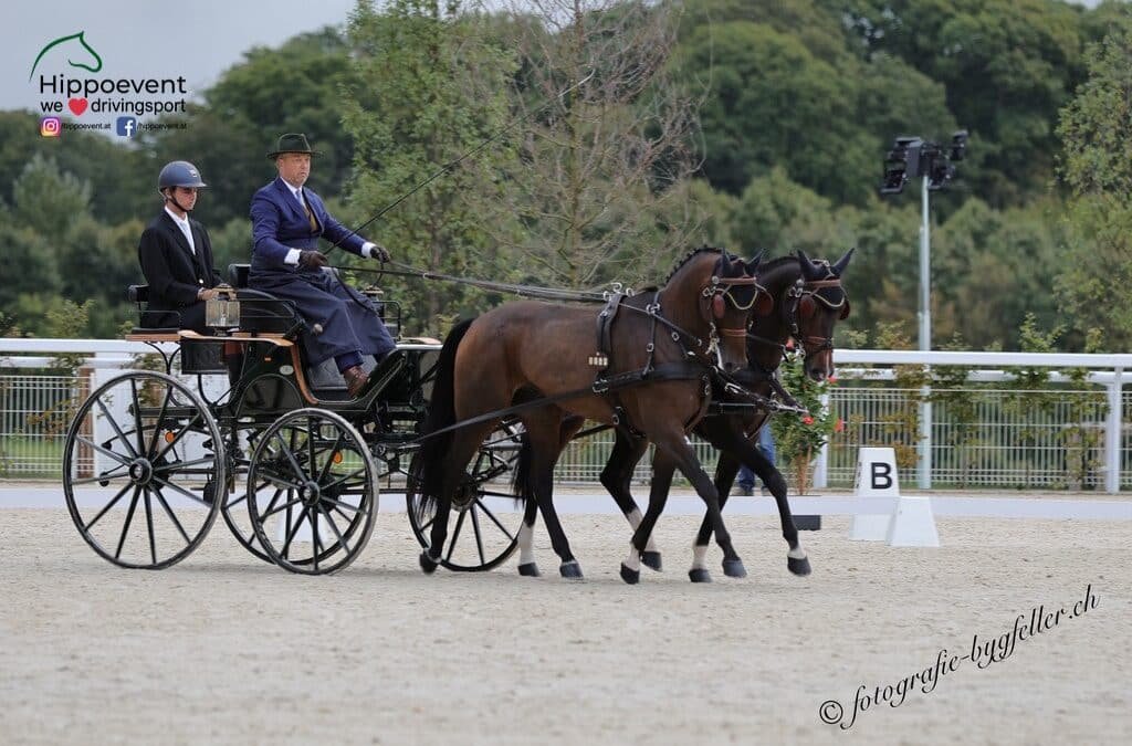Oliver Lange nos cuenta la situación española en el Campeonato del Mundo de Enganches