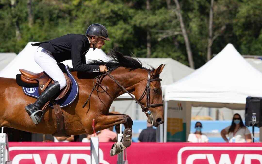 ¿Cómo evitar que tu caballo rehúse?