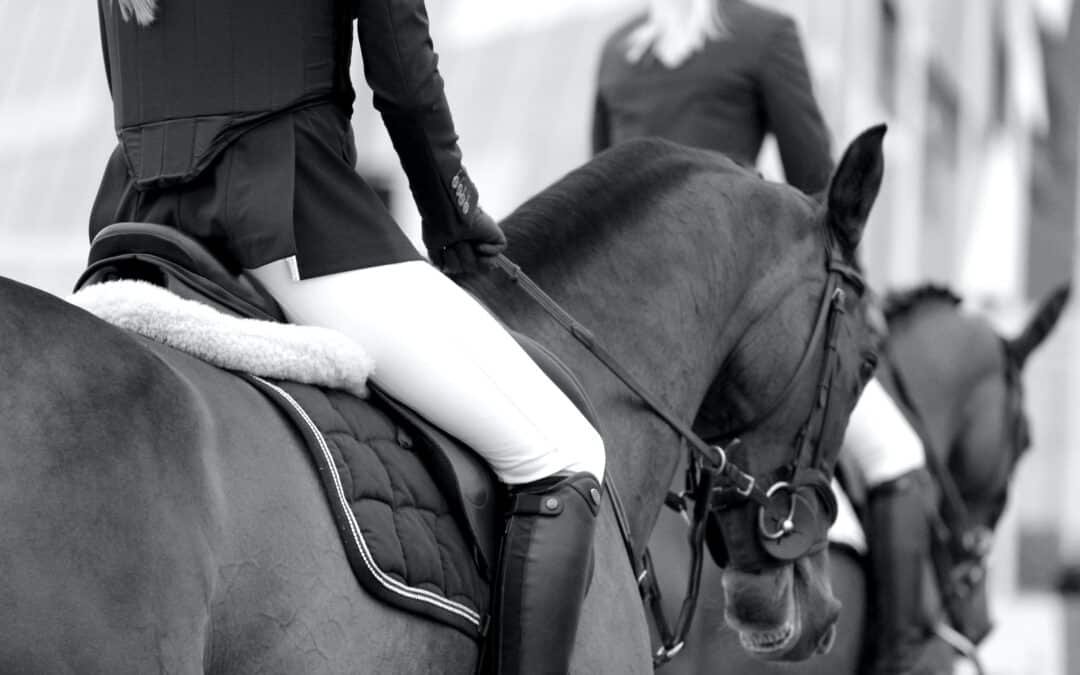 Cómo proceder con tu caballo después de una competición: Consejos, cómo descansar y datos de interés