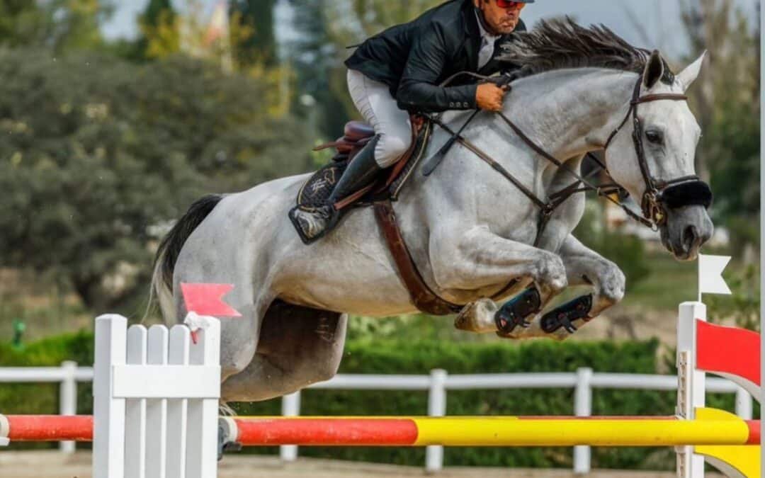 Geniale Moriniere, al alza