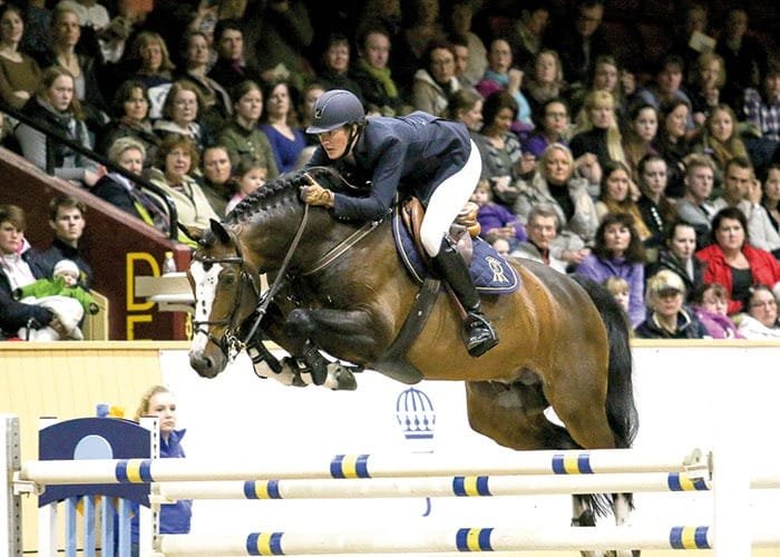 ”Balou de Rouet”, magnífico semental disponible en España