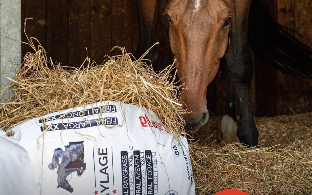 ¿Conoces «Select Haylage – Forraje Natural Raygrass» de Caleya? Henolaje de calidad para tus caballos