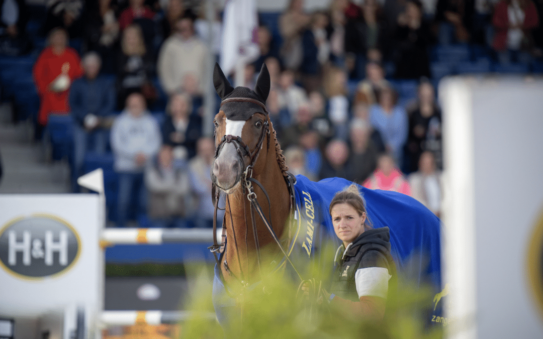 HorseGrooms lanza la plataforma comunitaria HorseGrooms para conectar a mozos en todo el mundo