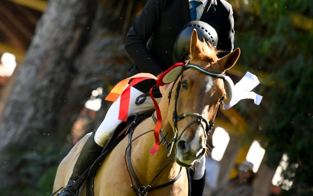 El jinete argentino Fabián Sejanes suspendido por doping en el Campeonato del Mundo