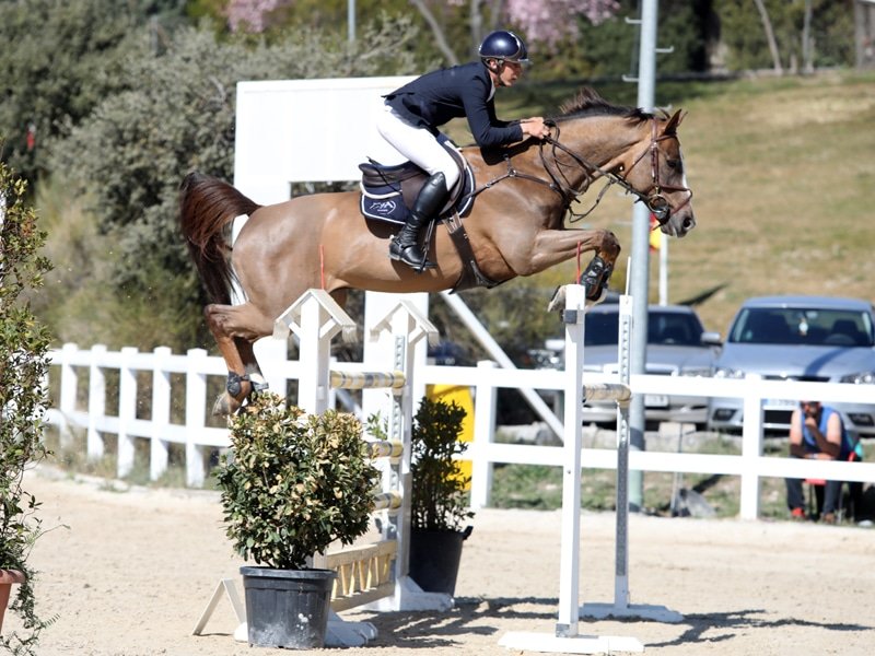 ¡Feliz jubilación Chantilly du Roty!